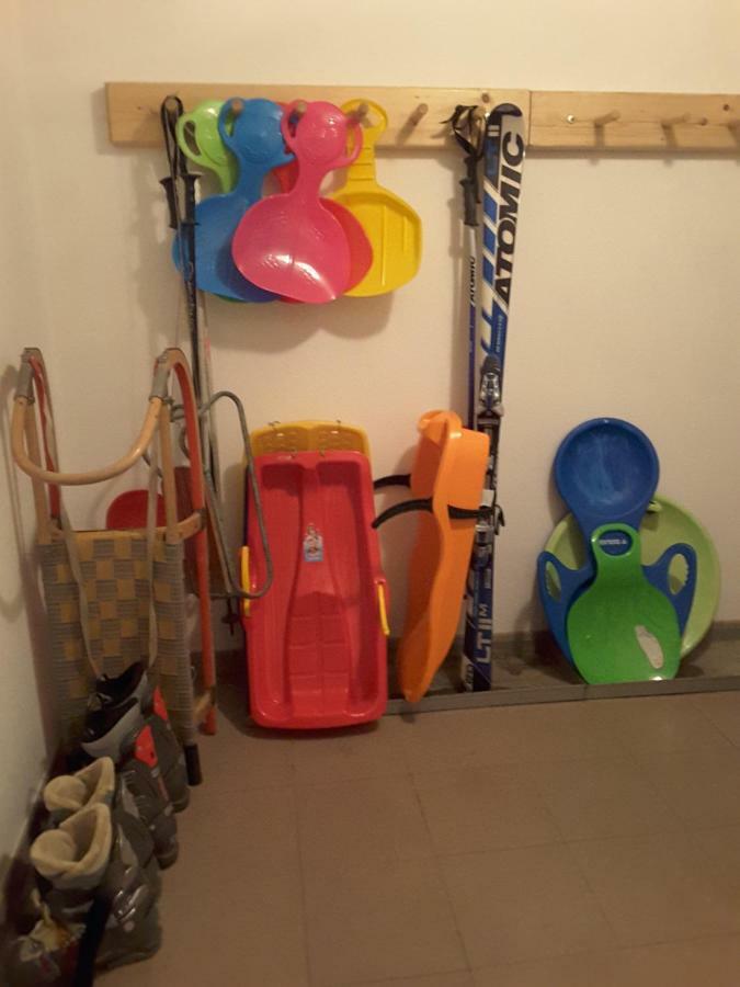Apartmany - Privat Pacholik โรกีนีซ นัด ยีเซอโร ภายนอก รูปภาพ